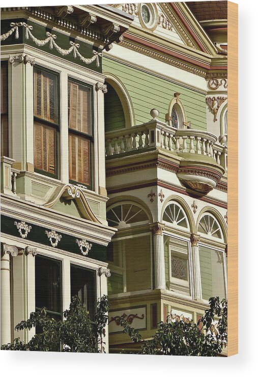 San Francisco Wood Print featuring the photograph Chocolate Mint Surprise by Ira Shander
