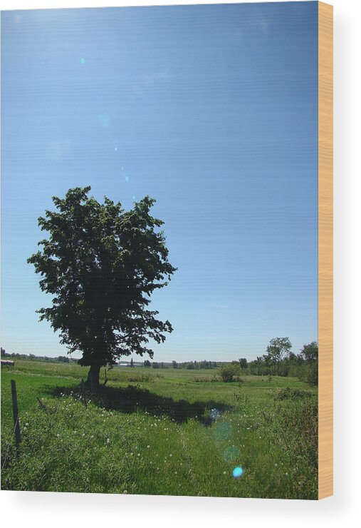 Landscape Wood Print featuring the photograph Clear Morning by Todd Zabel