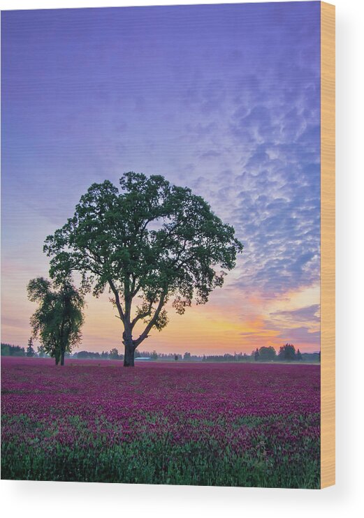 Clover Wood Print featuring the photograph Clover Sunrise by Steven Clark