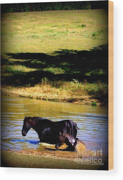 Horses Wood Print featuring the photograph Cooling Off by Rabiah Seminole