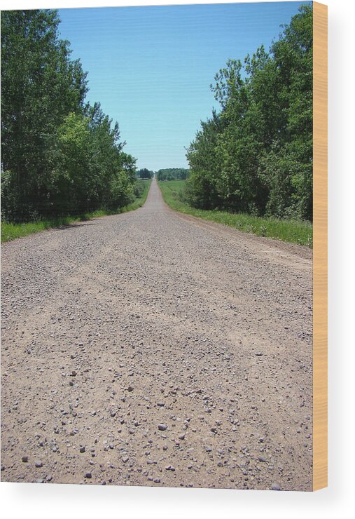 Landscape Wood Print featuring the photograph Country Gravel Road by Todd Zabel