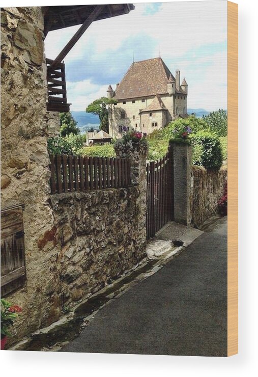 Annecy Wood Print featuring the photograph Country town euro by Lauren Serene