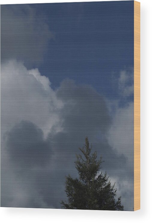 Clouds Wood Print featuring the photograph Cumulus 5 by Richard Thomas