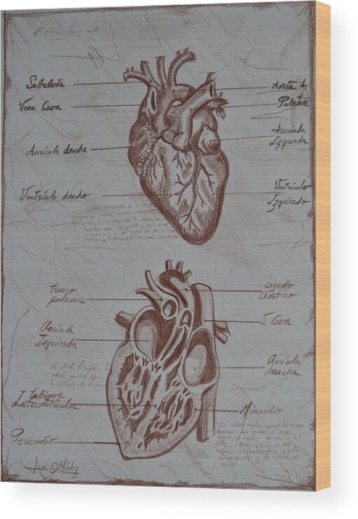 Cuore Wood Print featuring the drawing Cuore by Juan Mendez