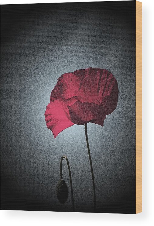 Poppy Wood Print featuring the photograph Dark Remembrance by Bel Menpes