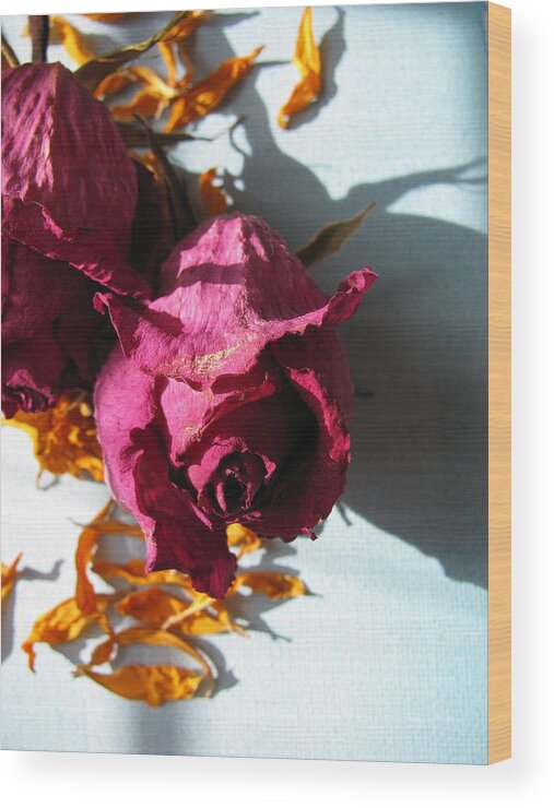 Roses Wood Print featuring the photograph Dear Diary by Lindie Racz