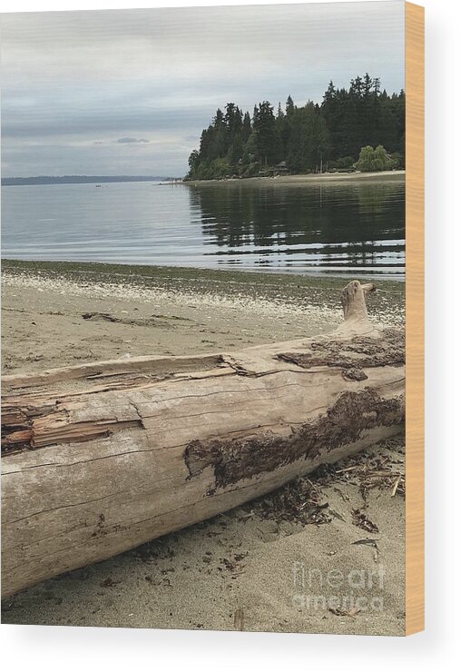 Driftwood Wood Print featuring the photograph Driftwood and water by LeLa Becker