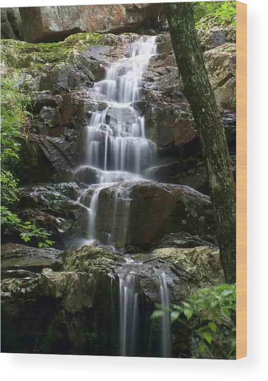 Waterfalls Wood Print featuring the photograph E Falls by Marty Koch