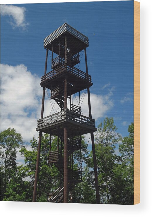 Eagle Tower Wood Print featuring the photograph Eagle Tower Rises High by David T Wilkinson