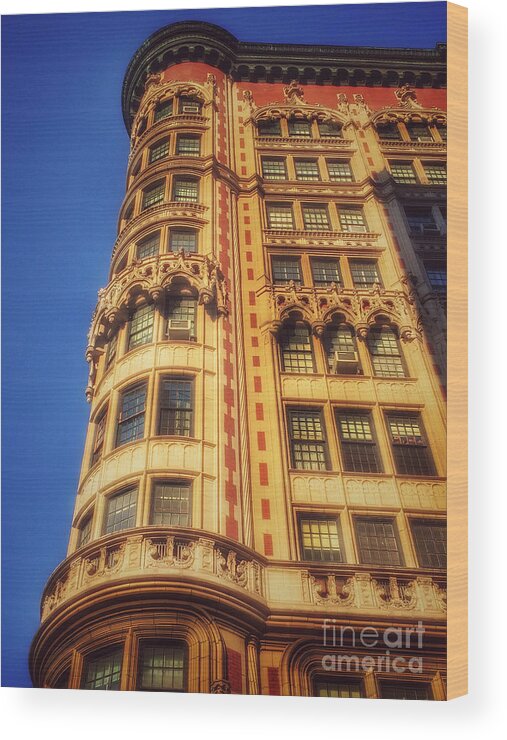 Old Buildings Wood Print featuring the photograph Echoes of Another Era - Park Avenue Beauty by Miriam Danar