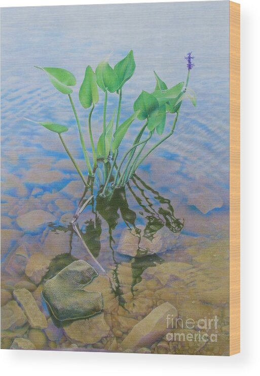 Water Wood Print featuring the painting Ellie's Touch by Pamela Clements
