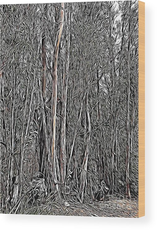 Eucalyptus Wood Print featuring the photograph Eucalyptus by Bridgette Gomes