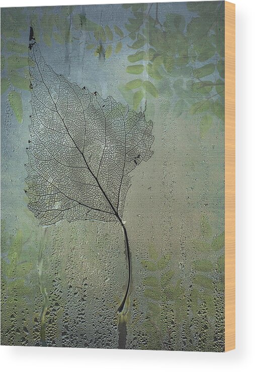 Leaf Wood Print featuring the photograph Expressiveness by Andrea Kollo