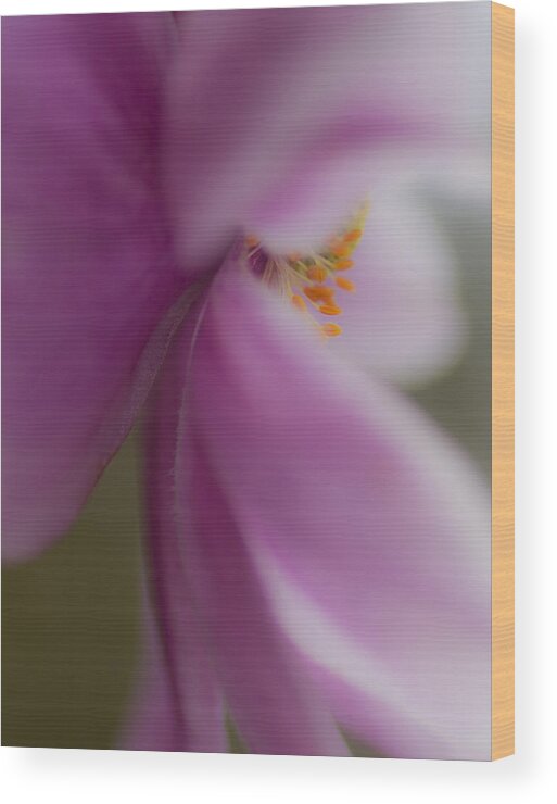  Anemone Wood Print featuring the photograph Eyelashes by Diane Fifield