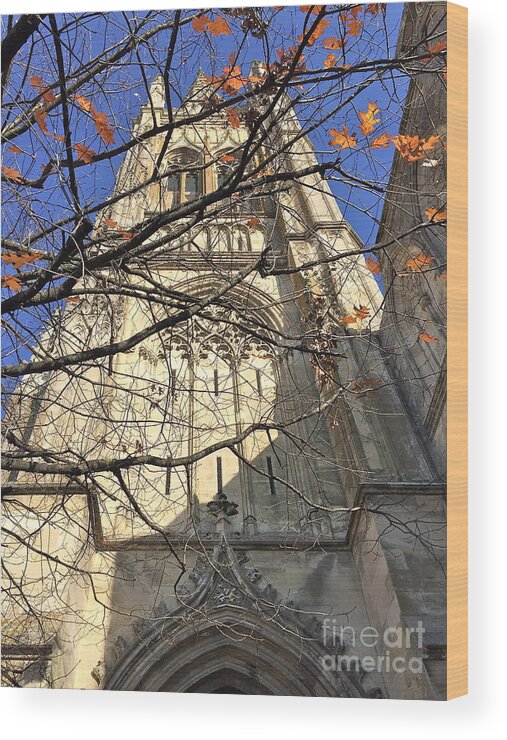 France Wood Print featuring the photograph Fall at French Cathedral by Barbara Plattenburg