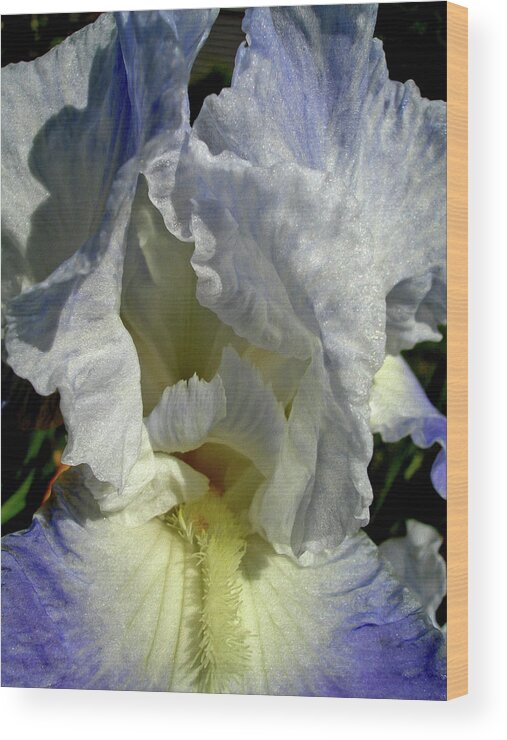 Flower Wood Print featuring the digital art Feather Petals 3 by Lynda Lehmann