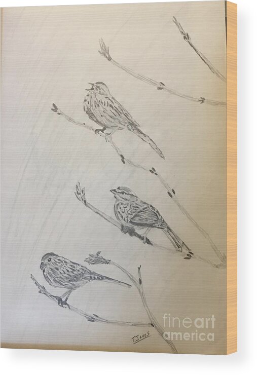 Sparrows Wood Print featuring the drawing Feathers Friends by Thomas Janos