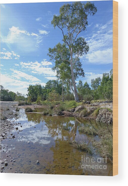 Finke River Wood Print featuring the photograph Finke River - Northern Territory - Australia by Phil Banks
