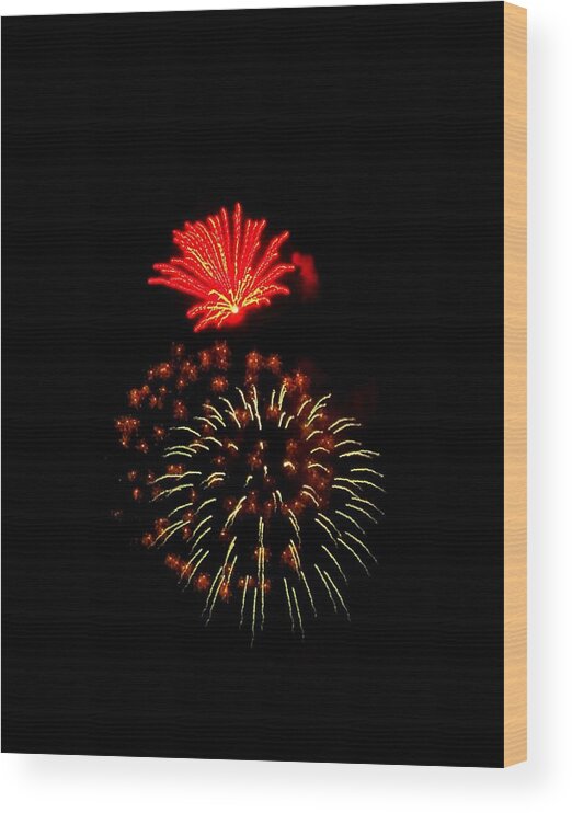 Fireworks Wood Print featuring the photograph Firework Cactus Flower  by Adrienne Wilson