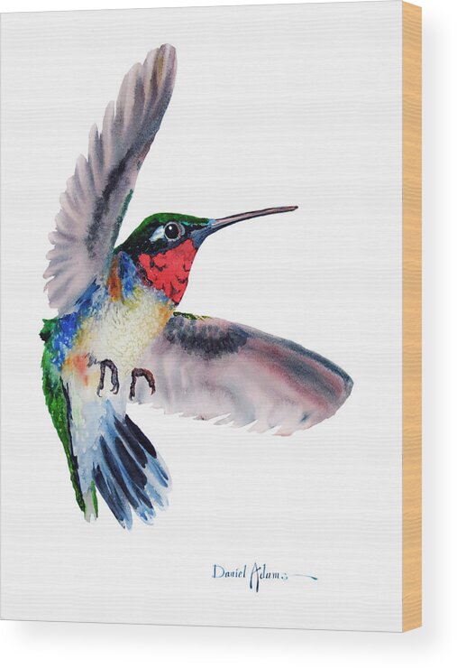 Hummingbird Wood Print featuring the painting Flit Daniel Adams by Daniel Adams