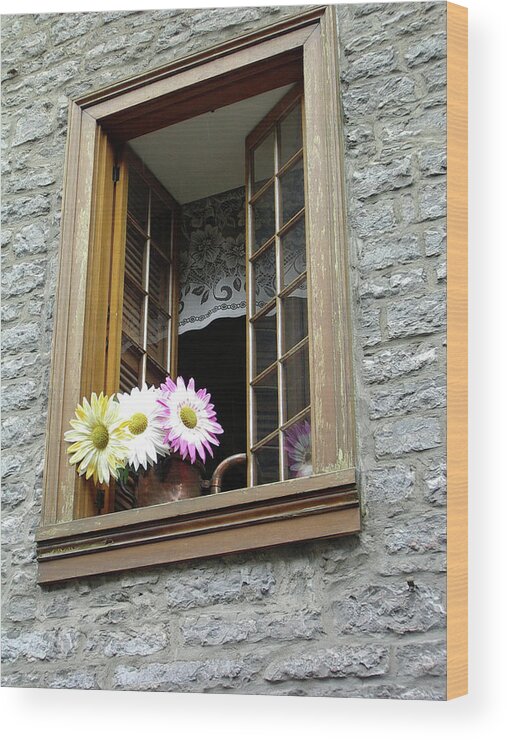 Canada Wood Print featuring the photograph Flowers on the Sill by John Schneider