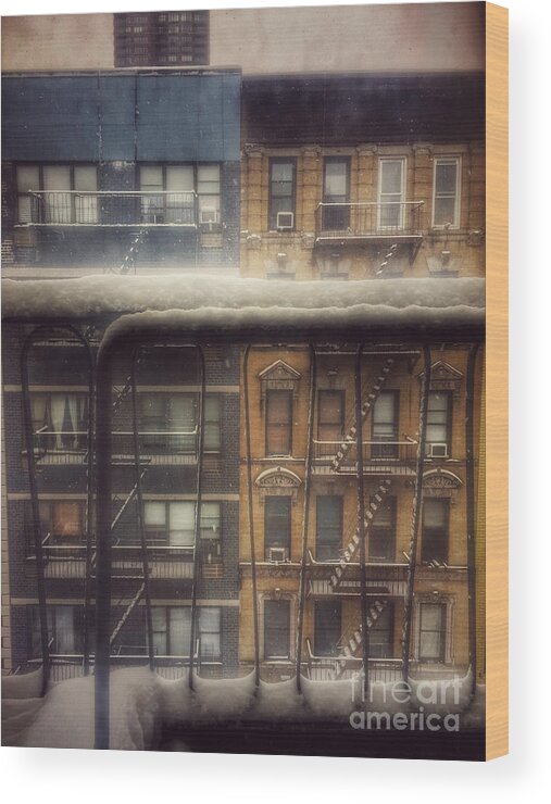Winter In New York Wood Print featuring the photograph From My Window - A Snowy Day in New York by Miriam Danar