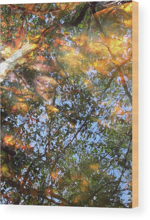 Water Wood Print featuring the photograph Aqueous Reflections 2 by Laura Davis