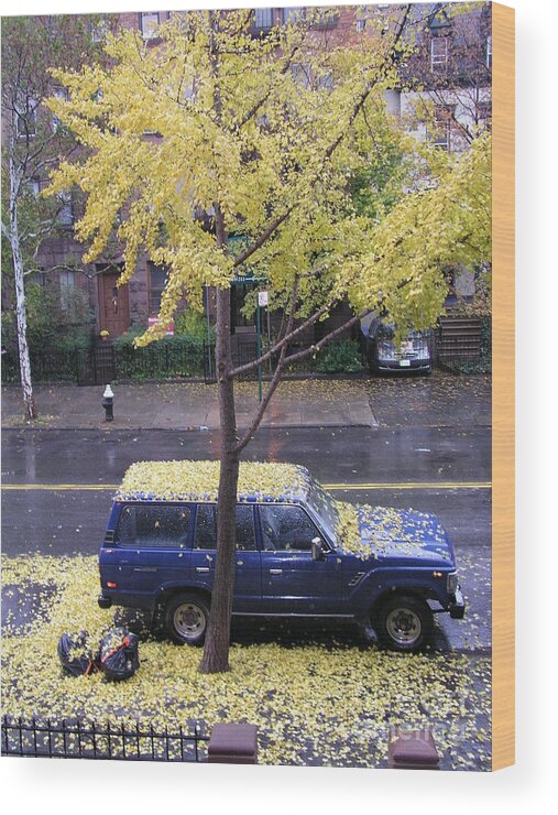 Gingko Wood Print featuring the photograph Ginkgo in Fall by Erik Falkensteen