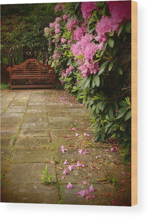 Flowers Wood Print featuring the photograph God's Hideaway by Dorothy Lee