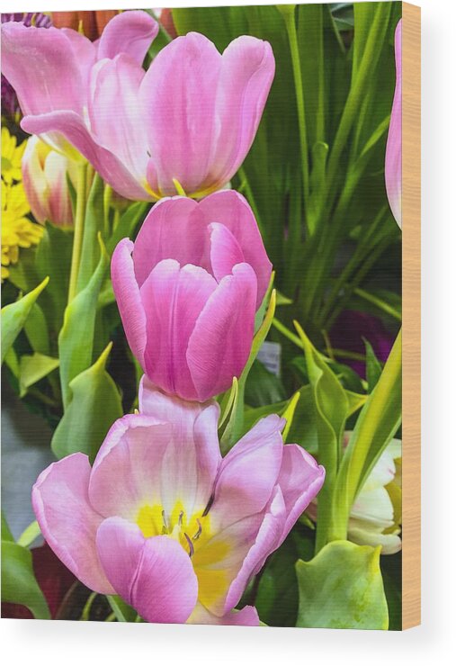Tulips Wood Print featuring the photograph God's Tulips by Carlos Avila