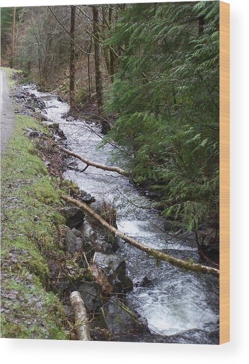Digital Photography Wood Print featuring the photograph Going Upstream by Laurie Kidd