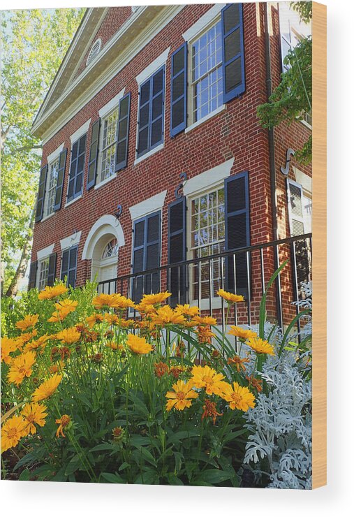 Dahlonega Wood Print featuring the photograph Golden Blooms at the Dahlonega Gold Museum by Nicole Angell