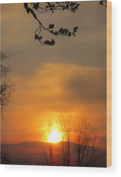 Silhouette Wood Print featuring the photograph Golden by Rosita Larsson