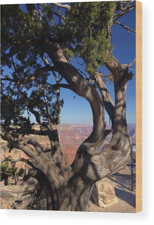 Grand Canyon Wood Print featuring the photograph Grand Canyon No. 6 by Sandy Taylor