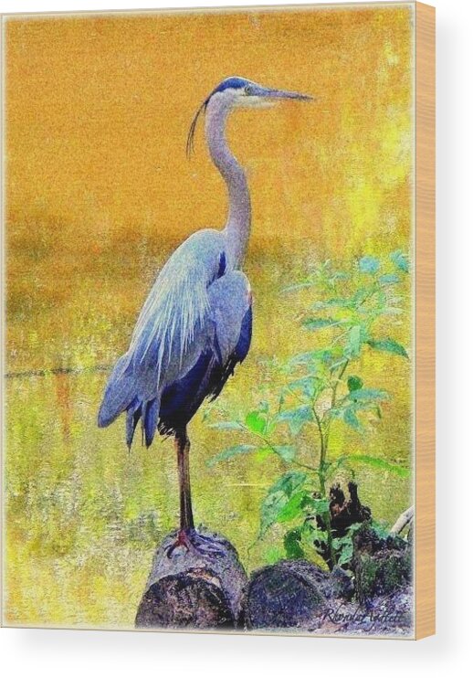 Great Blue Heron Wood Print featuring the mixed media Great Blue by YoMamaBird Rhonda