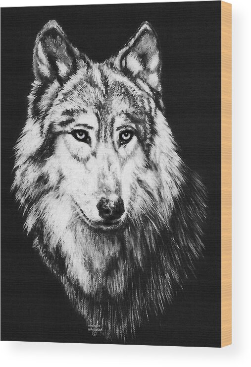 Wolves Wood Print featuring the pastel Grey Wolf by Melodye Whitaker