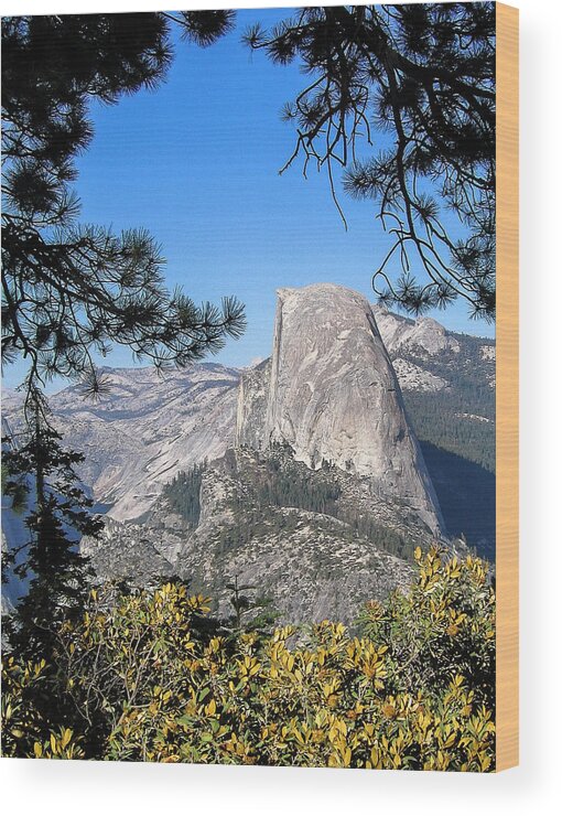 California Wood Print featuring the photograph Half Dome Framed by Ginger Stein