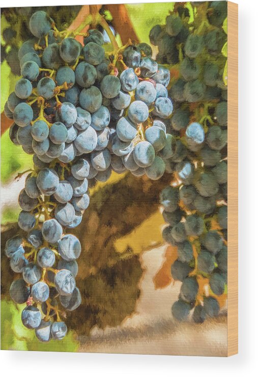 California Wood Print featuring the photograph Hanging Wine by David Letts
