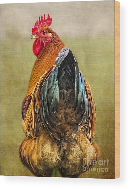 Cockerel Wood Print featuring the digital art Hen Party Does My Bum Look Big In This by Linsey Williams
