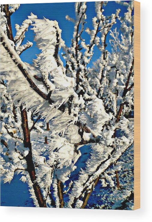 Winter Wood Print featuring the photograph Hoar Frost by 'REA' Gallery