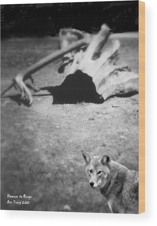 Yosemite Wood Print featuring the photograph Homage to Josef Beuys by Ann Tracy