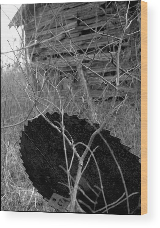 Ansel Adams Wood Print featuring the photograph House-saw-old by Curtis J Neeley Jr