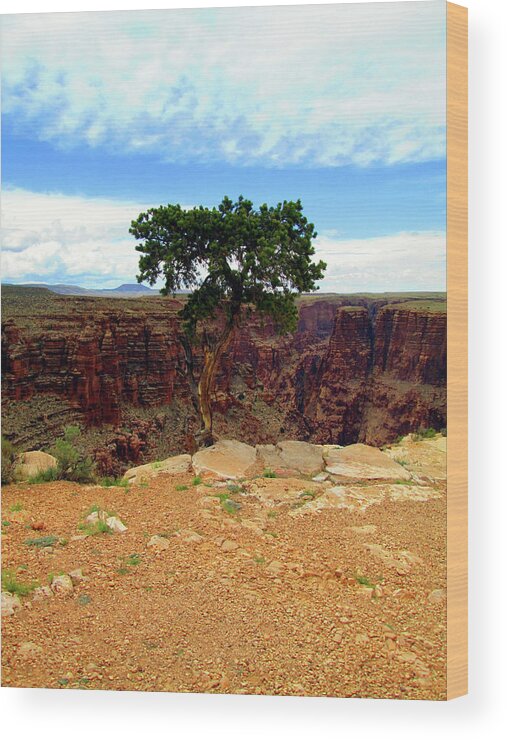 Grand Canyon Wood Print featuring the photograph Impossibly Flourishing at the Grand Canyon by Ilia -