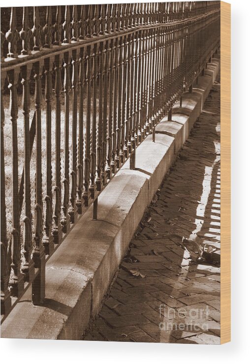 Wrought Iron Fence Wood Print featuring the photograph Iron Fence with Shadows by Carol Groenen