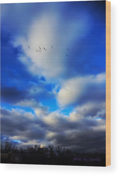Winter Skies Wood Print featuring the photograph January Smiles by Ruben Carrillo