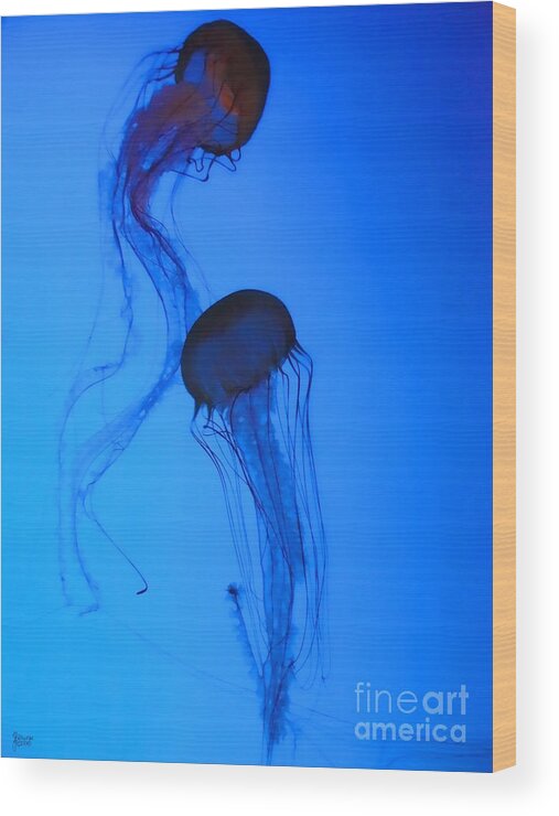 Jellyfish Wood Print featuring the photograph Jellyfish 5 by Jeff Breiman