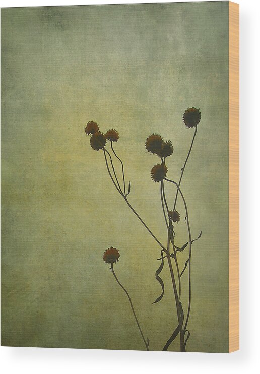 Just Weeds Wood Print featuring the photograph Just Weeds . . . by Judi Bagwell