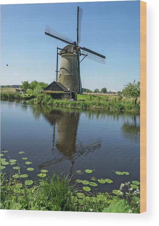 Kinderdijk Wood Print featuring the photograph Kinderdijk Windmill Reflection by Phil Cardamone