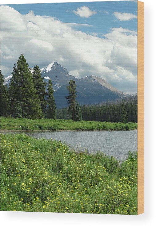 Canadian Rockies Wood Print featuring the photograph Lake Minnewanka Landscape by David T Wilkinson