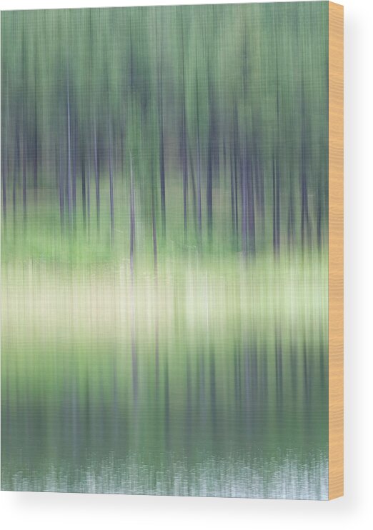 Lakes Wood Print featuring the photograph Late Spring Light by Deborah Hughes